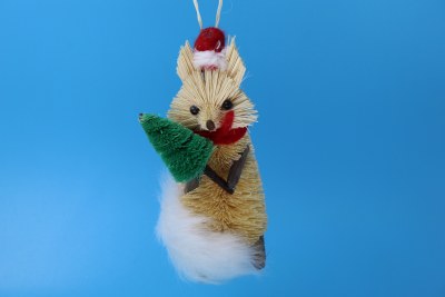 BRUSH FOX