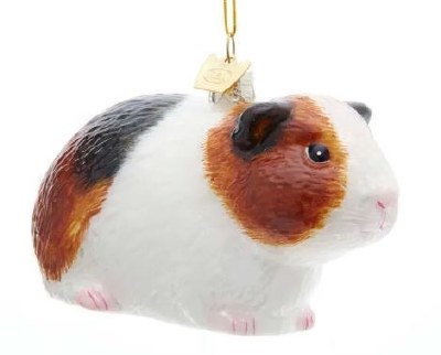 GLASS GUINEA PIG