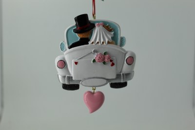 BRIDE &amp; GROOM IN CAR