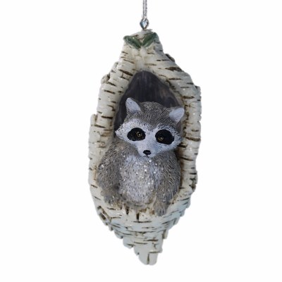 RACCOON
