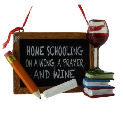 HOMESCHOOLING ON A WING