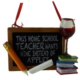 THIS HOME SCHOOL TEACHER