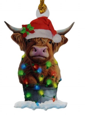 HIGHLAND COW