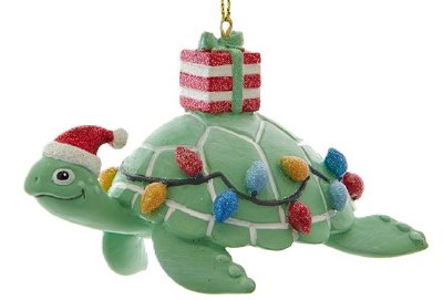 PRESENT SEA TURTLE