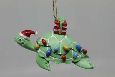 PRESENT SEA TURTLE