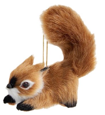 FURRY SQUIRREL