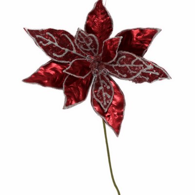 RED AND WHITE POINTSETTA