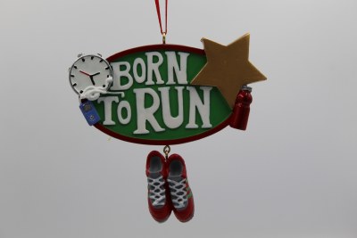 BORN TO RUN