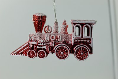 FROST TRAIN
