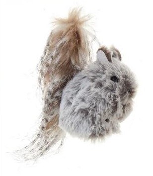 FURRY SQUIRREL