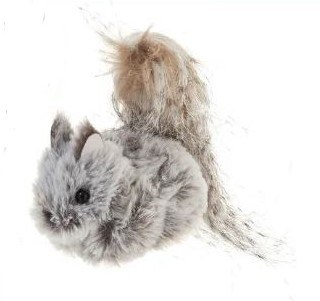 FUZZY SQUIRREL