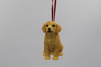 DOG GOLDEN RETRIEVER