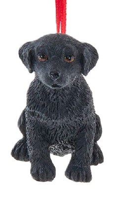 DOG LAB RETRIEVER