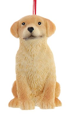 DOG LABRADOR RETRIEVER