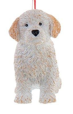 LABRADOODLE