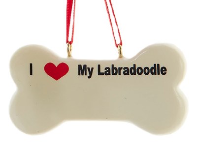 BONE LABRADOODLE