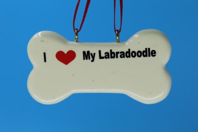 BONE LABRADOODLE