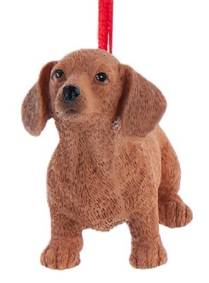 DOG DACHSHUND