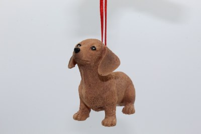 DOG DACHSHUND
