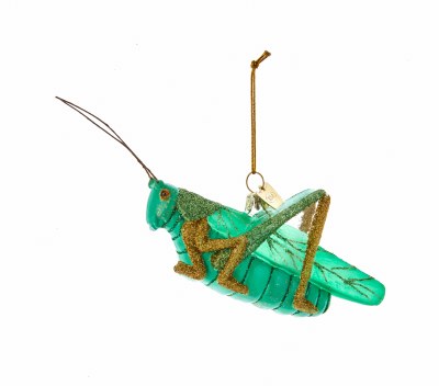 GRASSHOPPER