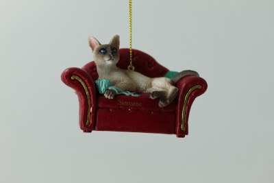 SIAMESE