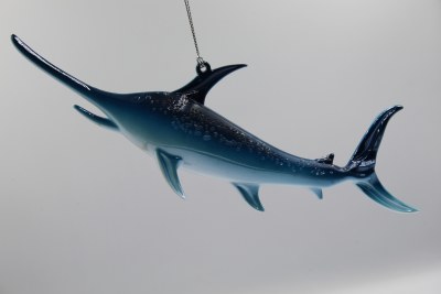 BLUE/WHITE SWORDFISH