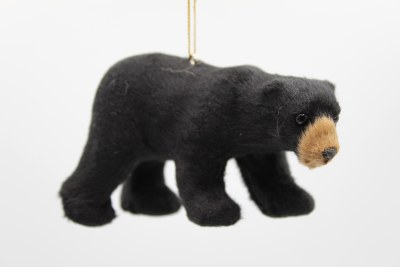 BLACK BEAR