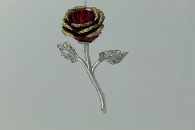 SLIVER STEM
