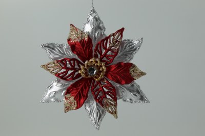 RED CENTER POINTSETTA