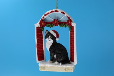 BLACK/WHITE CAT