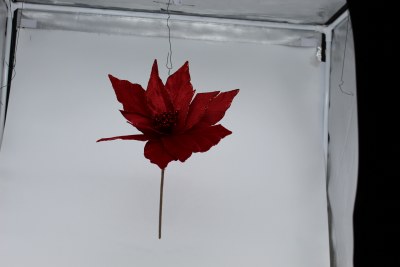 RED POINTSETTIA PICK