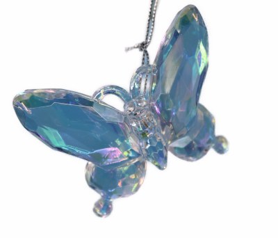 CLEAR BUTTERFLY