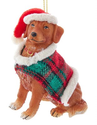 GOLDEN RETRIEVER DOG