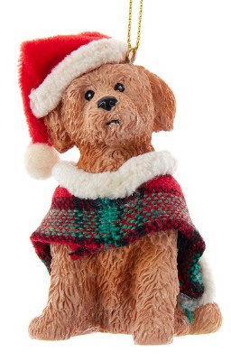 BROWN LABRADOODLE DOG