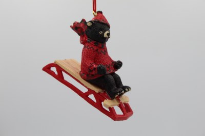 BEAR SITTING ON SLED