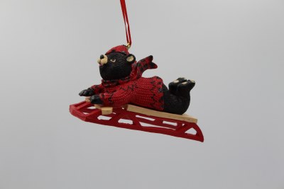 BEAR LAYING ON SLED