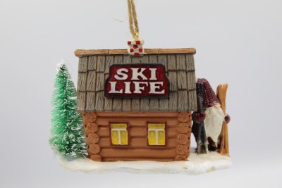 SKI LIFE