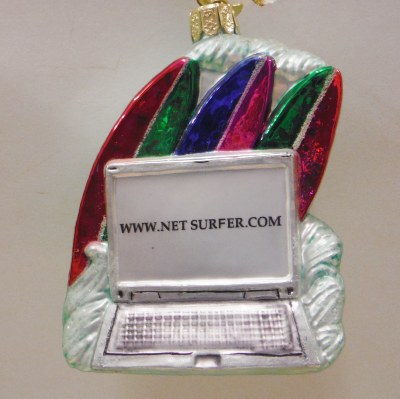 WWW.NET SURFER.COM