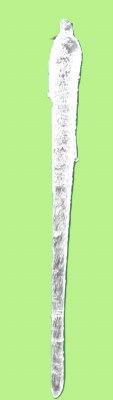 LARGE ICICLE