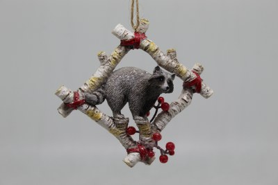 RACCOON