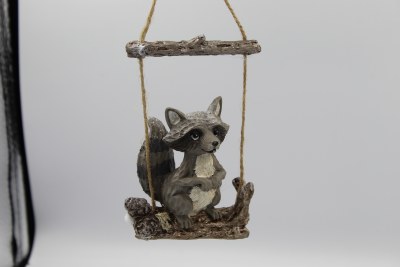 RACCOON
