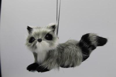 LEFT LOOKING RACCOON