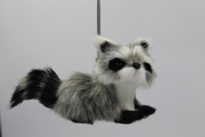 LEFT LOOKING RACCOON