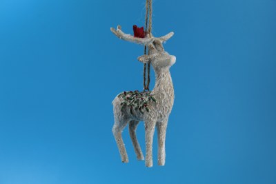 FORWARD LOOKING REINDEER