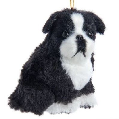 BOSTON TERRIER