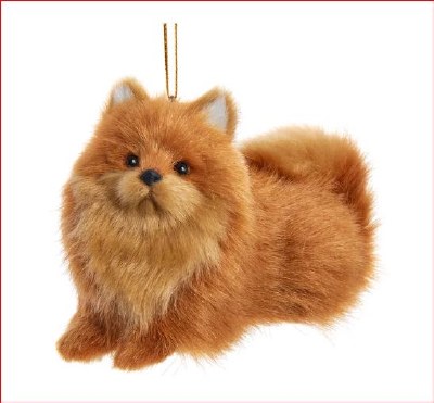 POMERANIAN
