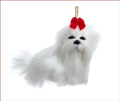 MALTESE