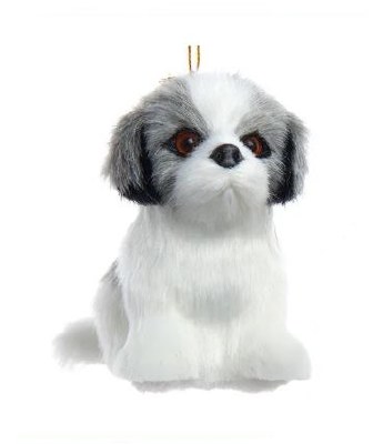 GRAY SHIH TZU