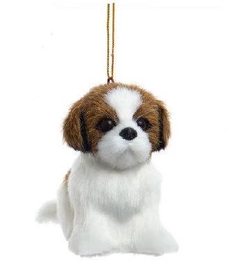 BROWN SHIH TZU