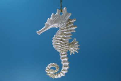 WHITE SEAHORSE